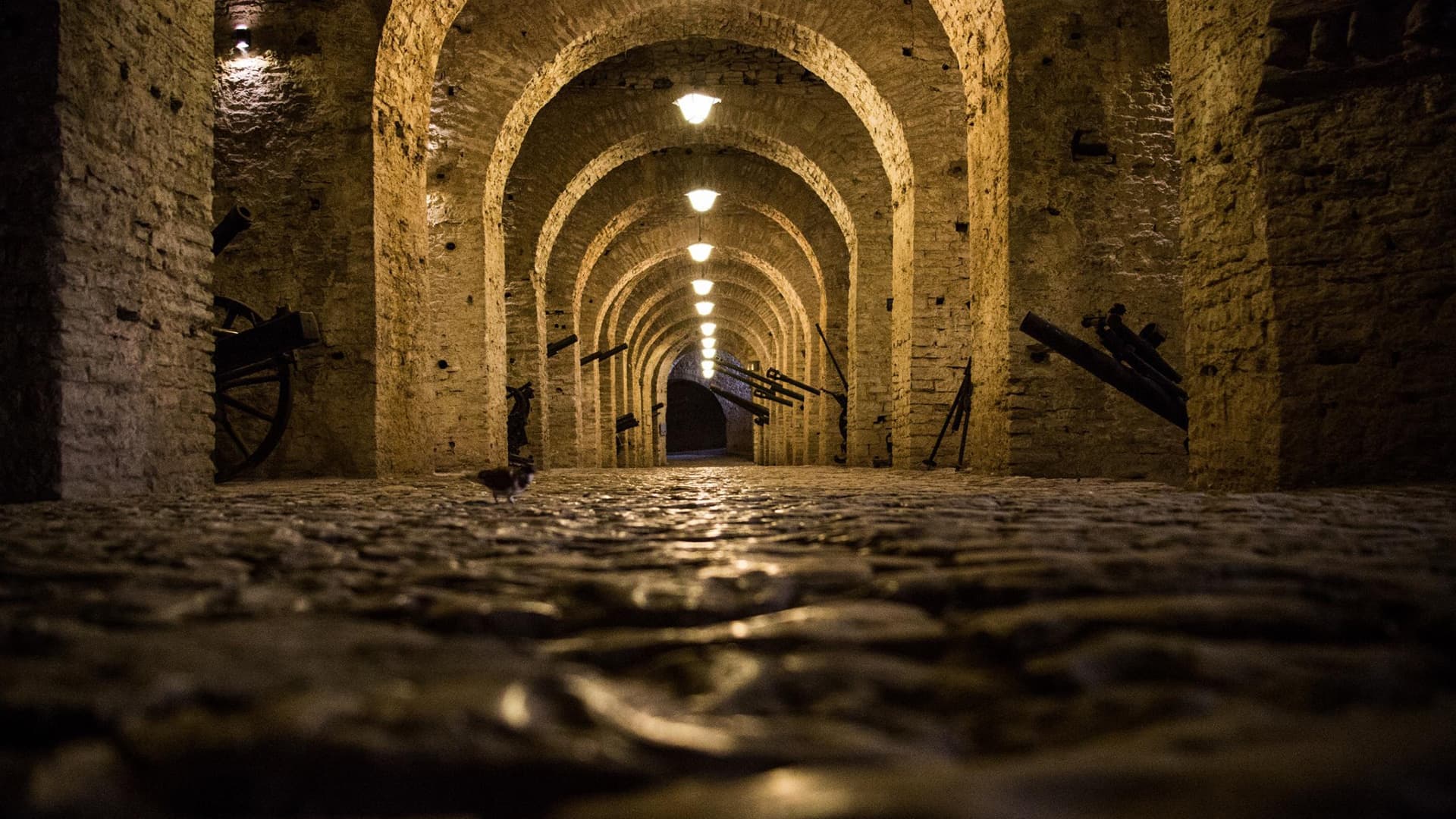Castle of Gjirokastra